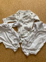 Baby Bodys in Größe 50. 3 Stück Nordrhein-Westfalen - Emsdetten Vorschau