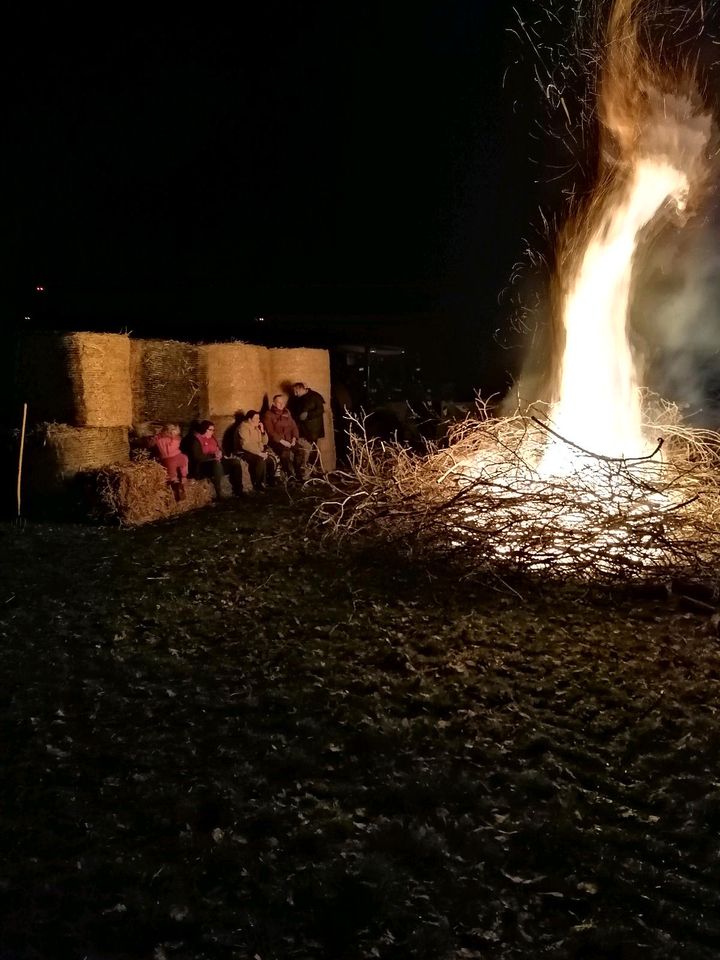 Ferienwohnung,Nordsee Nähe,v. Natur, Reiten,angeln, Kutschfa, in Hollingstedt b Delve Holst