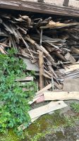 Brennholz zu verschenken Hessen - Groß-Umstadt Vorschau