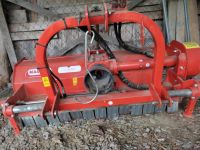 Mulcher Maschio Barbi Schlegelmulcher 1,40m Rheinland-Pfalz - Helmeroth Vorschau