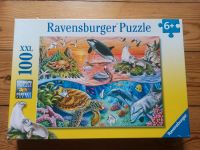 Ravensburger Puzzle 100 XXL Ozean Unterwasser Meer Berlin - Steglitz Vorschau