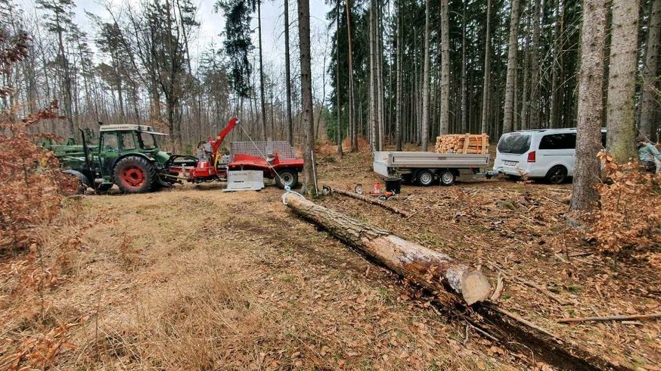 Lohnspalten Lohnsägen Holz Holzspalter Brennholz Wald Spalter in Blankenhain