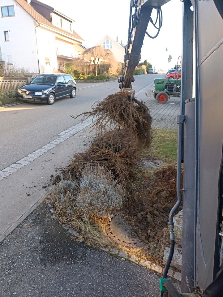 Bagger Minibagger Mietbagger Vermietung Baggerverleih Volvo in Markdorf