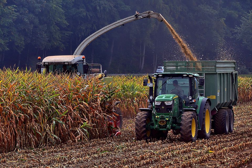 Landwirt Schlepperfahrer Allrounder Ackerbau Biogas Veredelung in Glücksburg