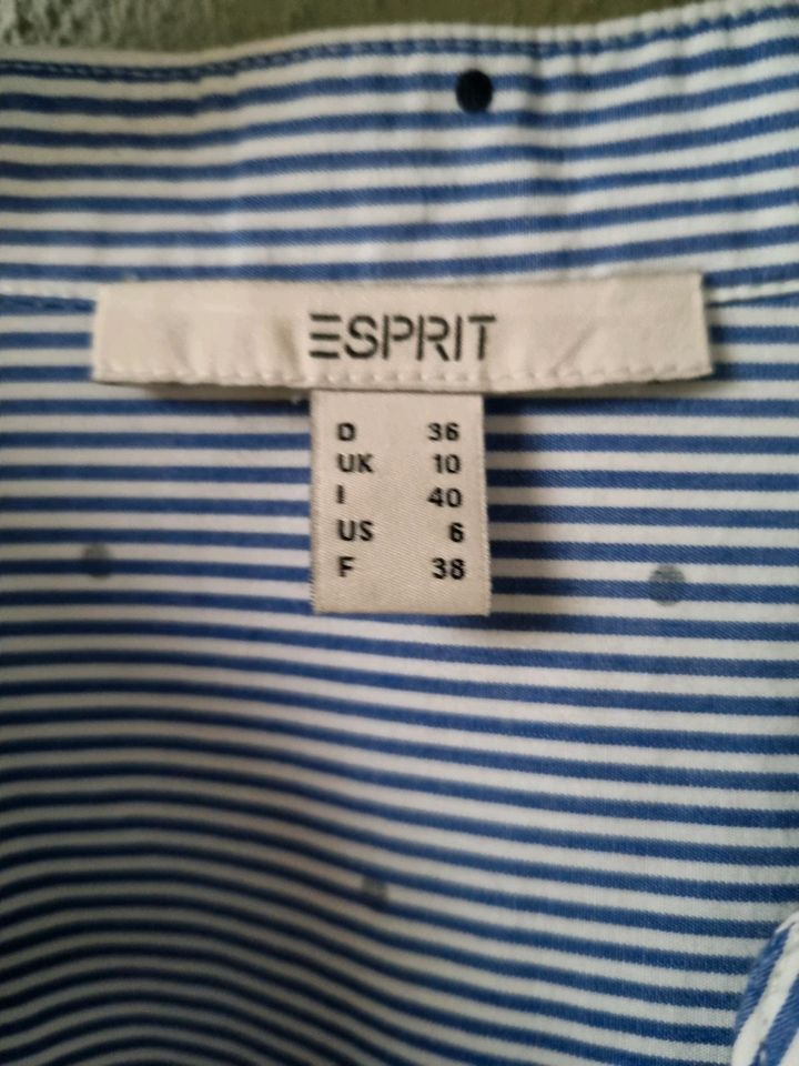 ESPRIT Oversize Bluse Gr 36-40 in Duisburg