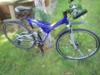 Trekking - Fahrrad 28 Zoll Brandenburg - Zeuthen Vorschau