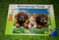 PUZZLE - 300 Teile von Ravensburger - Motiv: Hunde & Katze - TOP Sachsen-Anhalt - Halle Vorschau