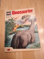 Buch Was ist was Dinosaurier Hessen - Burgwald Vorschau