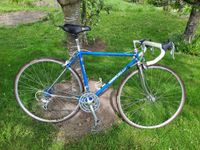 Vintage Rennrad Dancelli, Campagnolo Veloce, Rahmenhöhe ca. 48cm Baden-Württemberg - Gailingen am Hochrhein Vorschau