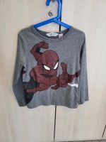 Spiderman Pulli Gr. 122/128 H&M Nordrhein-Westfalen - Niederzier Vorschau