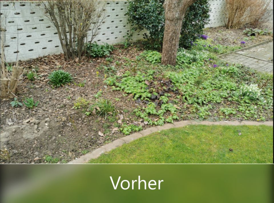 Gärtner / Gartenarbeit GARTEN UND BAUMPFLEGE in Peine