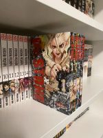 Dr. Stone Band 1 2 3 4 Manga Comic Bayern - Dingolfing Vorschau