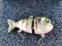 Swimbait, Glidebait Niedersachsen - Peine Vorschau