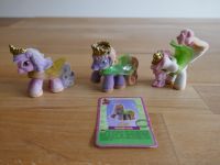 3 Filly Witchy Pferde Hessen - Elz Vorschau