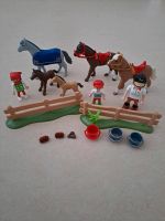 Playmobil Set Pferde,  Figuren, Zaun, Zubehör Hessen - Bad Wildungen Vorschau