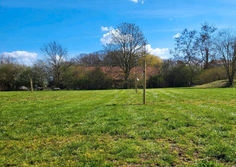 Stellplatz auf der Obstwiese in Petershagen