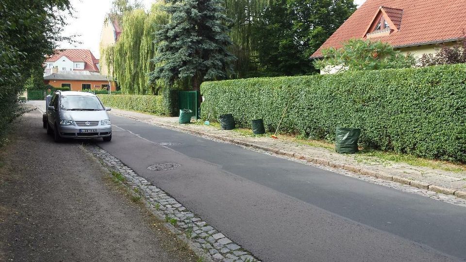 Fenster Reinigung , Gartenarbeiten usw. in Leipzig