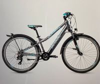 E-Bike 26 Zoll  Jugendliche Bayern - Hochstadt am Main Vorschau