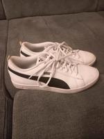 Puma Sneaker Damen Sportschuhe Nordrhein-Westfalen - Meckenheim Vorschau