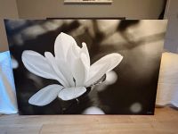 Ikea Bild Blumenbild Magnolie braun schwarz weiß nur Abholung Hessen - Borken Vorschau