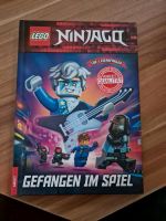 Ninjago Buch für Leseanfänger Niedersachsen - Schneiderkrug Vorschau