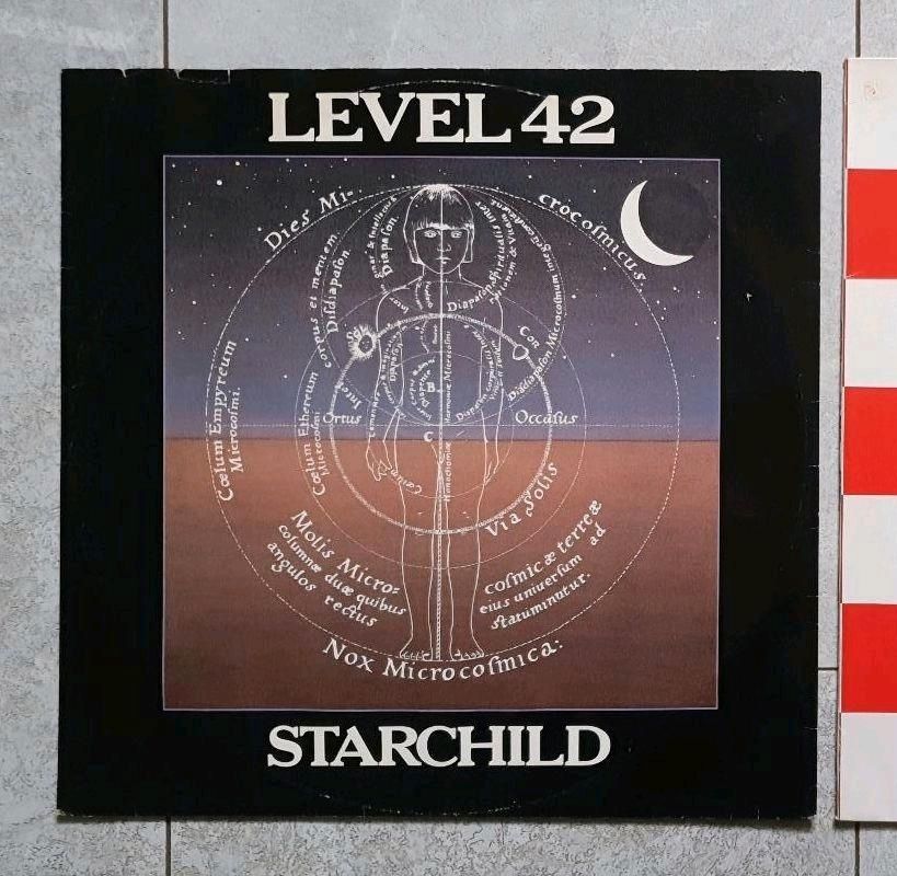 Level 42 Starchild Schallplatte in Zell am Main