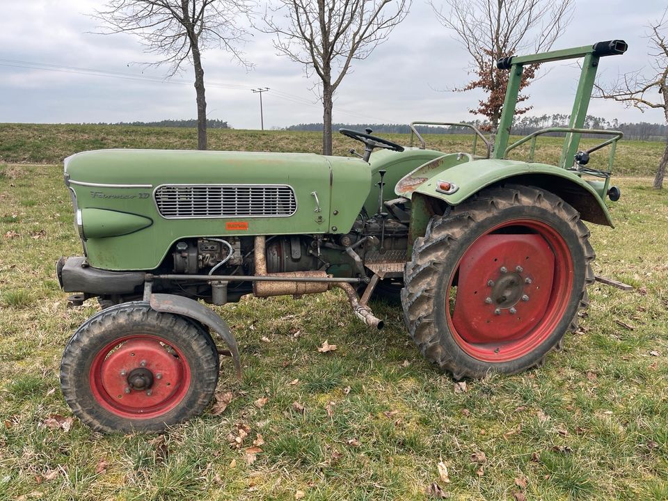 Fendt Farmer 2D in Kammerstein