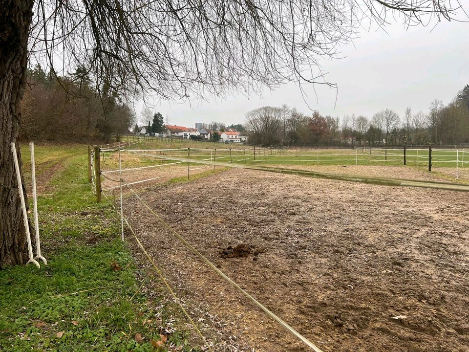 *Provisionsfrei* Wiesengrundstück direkt am Reitstall in Heroldsberg in Heroldsberg