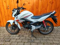 Honda CB125F Moped Motorrad Kleinrad Motorroller Leichtkraftrad Bayern - Memmelsdorf Vorschau