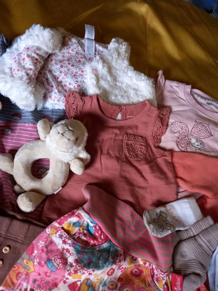 BABYPAKET MÄDCHENKLEIDUNG Gr.56-68 in Hanerau-Hademarschen