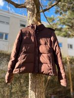 Pufferjacke Steppjacke mit Kapuze von Champion gr. M Neuhausen-Nymphenburg - Neuhausen Vorschau