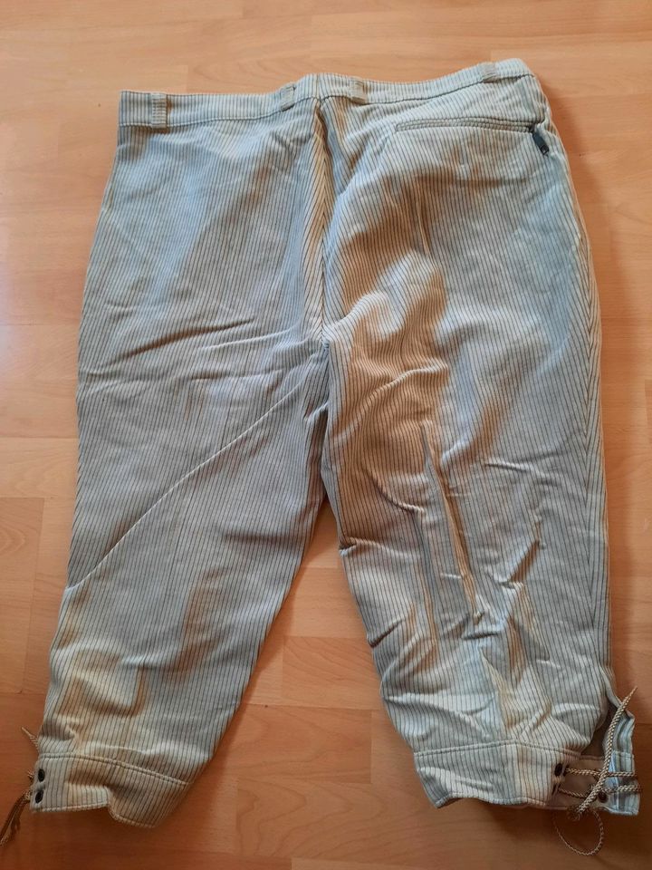 Kniebundhose/ Wanderhose in Aschenhausen