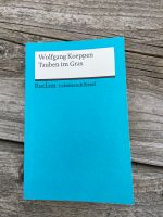 TB Wolfgang Koeppen Tauben im Gras Reclam Lektüreschlüssel Nordrhein-Westfalen - Königswinter Vorschau