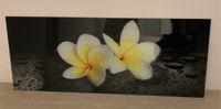 Glasbild, Acrylglas, Bild, Blume, Plumeria Wandsbek - Hamburg Rahlstedt Vorschau