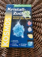 Kristall Zucht Kreis Pinneberg - Uetersen Vorschau