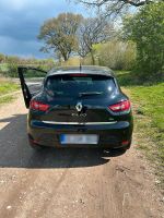 Renault Clio Tce zu verkaufen Schleswig-Holstein - Blunk Vorschau