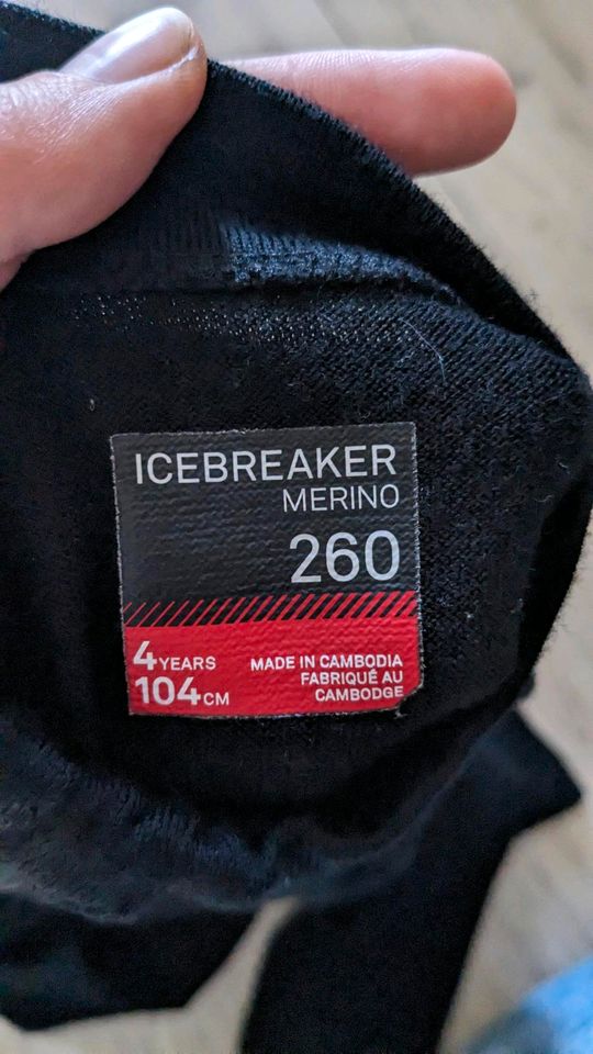 Icebreaker Longsleeve Rollkragepullover Merinowolle in Leipzig