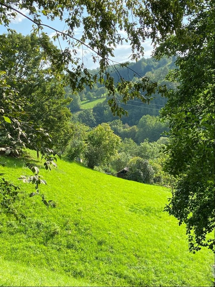 Bauplätze in Gnadental mit Panoramablick in Michelfeld