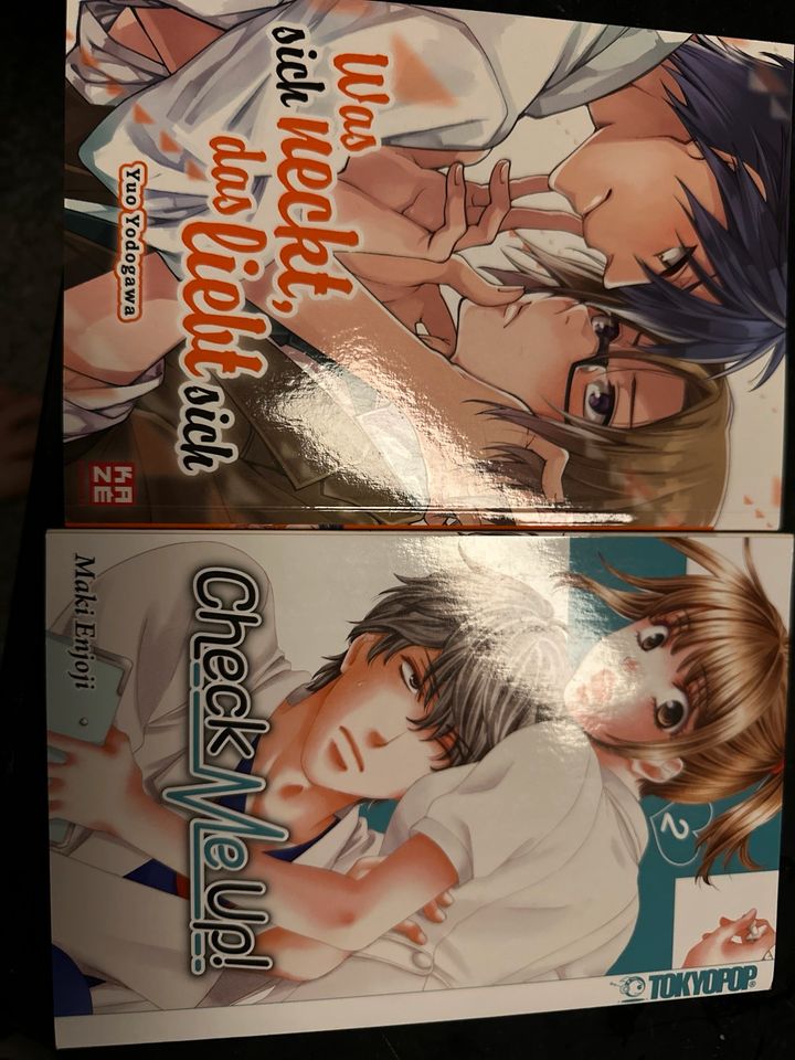 Mangabücher einzeln neuwertig in Pleinfeld