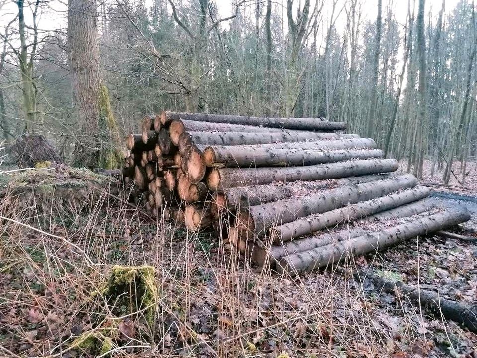 großer Anhänger voll Kaminholz, 7SRM, Brennholz, Feuerholz in Lübberstedt