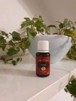 Thieves Öl 15ml  NEU und OVP young living Bayern - Krombach Vorschau