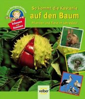 Buch Buch für Kinder Baden-Württemberg - Eberdingen Vorschau