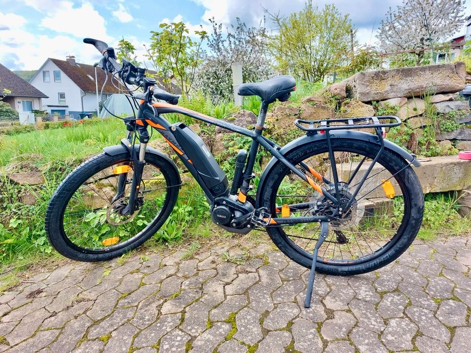 MTB Raymon Mountain E-Bike Pedelec E Fahrrad Elektrorad 48cm hoch in Uslar