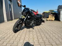 Harley Davidson  Nighster 2 Jahre garantie Niedersachsen - Bad Bentheim Vorschau