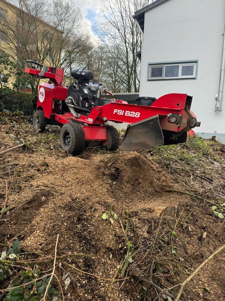 Wurzelfräsen, Wurzelfräsdienst, Wurzelentfernung, Baumstumpf entfernen, Stubbenfräsung, Baumstumpfentfernung in Solingen