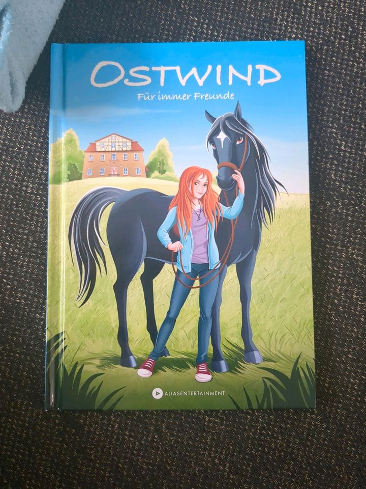 * Buch * Erstleser * Ostwind * top * Kinder * 1 * in Ebhausen