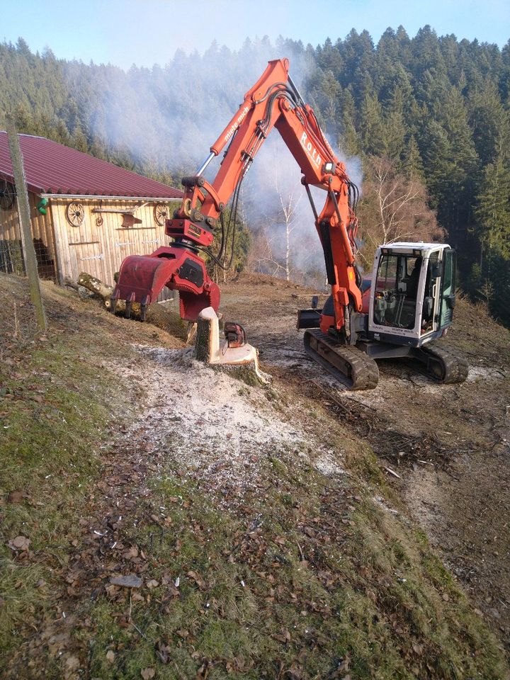 Bagger Minibagger mieten leihen vermieten Takeuchi Kubota in Wolfach