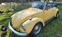 Vw Käfer Cabrio 1302LS Oldtimer Hessen - Kaufungen Vorschau