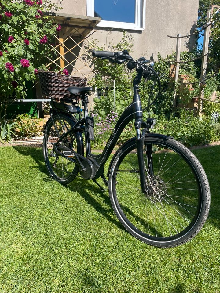 EBIKE C006 Active CHELSEA - Trekking E-Bike - 2019 in Meine