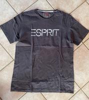 Esprit T-Shirt Regular Fit, Gr. XL, Freizeit Kr. Altötting - Haiming Vorschau